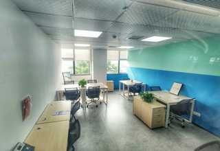 广东特色代餐粉包括什么