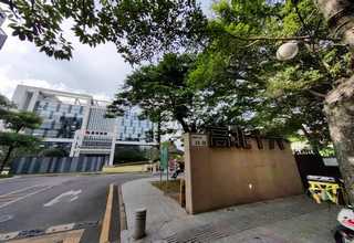 宝山区公司科技项目代理商